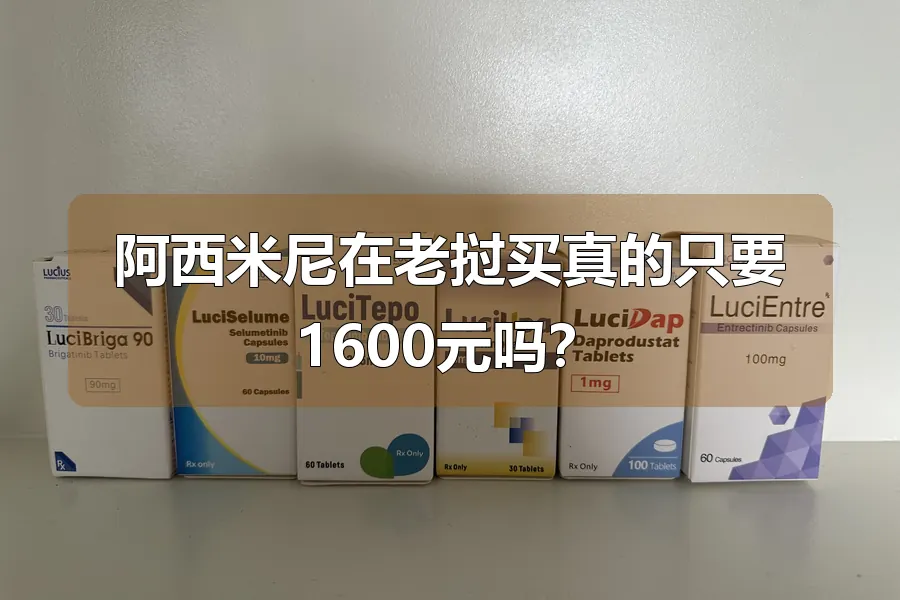阿西米尼在老挝买真的只要1600元吗？